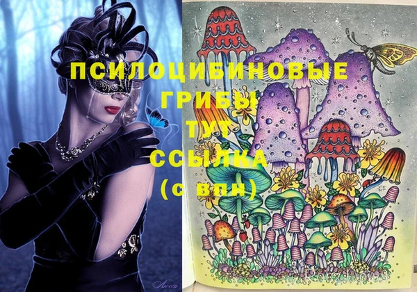 ГАЛЛЮЦИНОГЕННЫЕ ГРИБЫ Дмитров