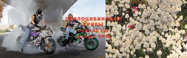 ГАЛЛЮЦИНОГЕННЫЕ ГРИБЫ Дмитров