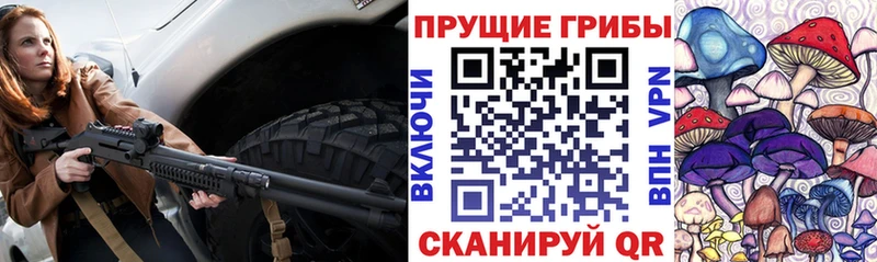 Псилоцибиновые грибы Psilocybe  Купить  Макушино 